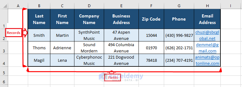 Records and Fields-Maintain Customer Database in Excel