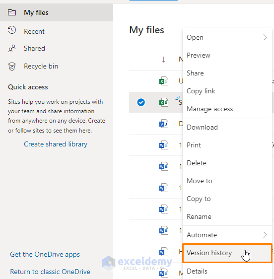 Version History Using AutoSave Feature