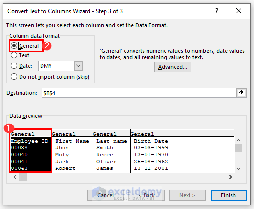 Utilize ‘Text to Columns’ Data Tool to Duplicate into Several Cells from Word to Excel