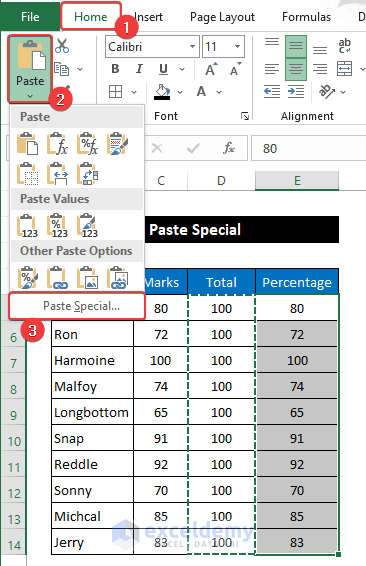 Using Paste Special Option to Fix Division Formula