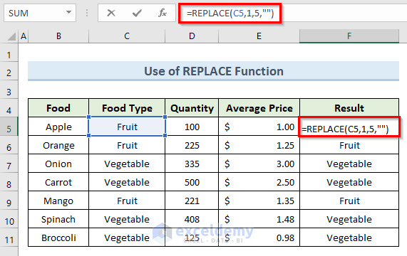 Apply REPLACE Function to Replace Text with Blank Cell in Excel
