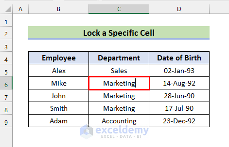 Insert VBA for Locking a Specific Cell without Protecting Sheet