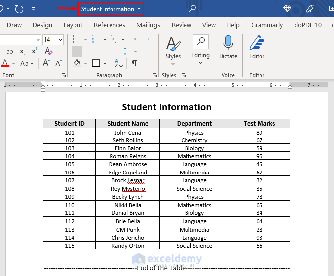 The Word File Dataset to Open Word Document and Save As PDF or Docx with VBA Excel
