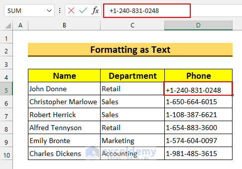 how to put a plus sign in excel without formula using Text Format