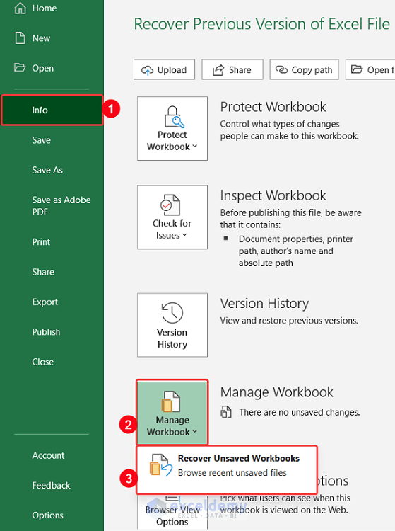 Retrieve Previous Version of Excel File from Manage Workbook Option