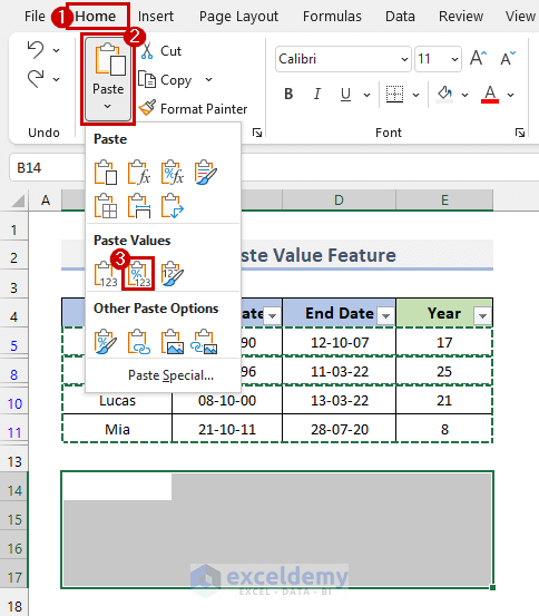 Apply Paste Value Feature to Remove Excel Formula When Filtered