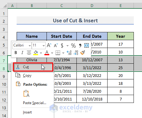Cut and Insert Excel Rows to Move