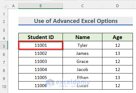 Use of Advanced Feature from Excel Options to Move Automatically to Next Cell