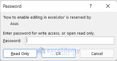 Using Password Enable Editing in Excel