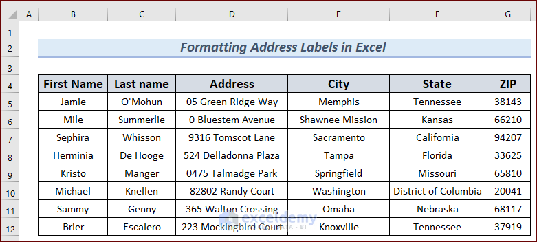 Dataset: how to format address labels in excel