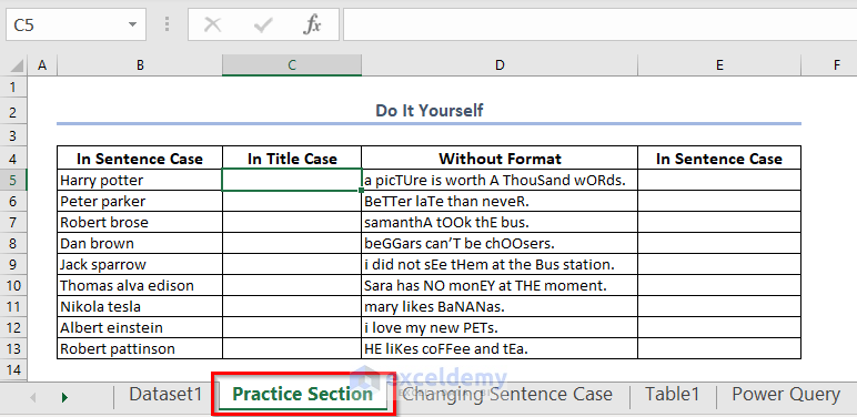 Practice Section to change sentence case in Excel