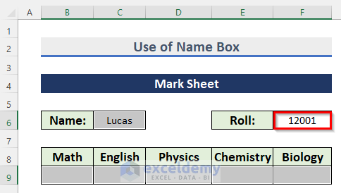 Use of Name Box to Make Excel Move Automatically to Next Specific Cell