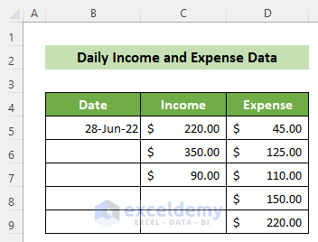 Daily Income and Expense Excel Sheet Data
