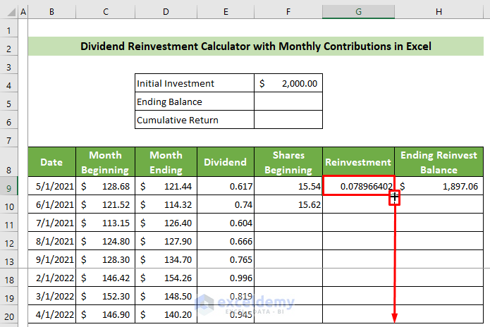 Drag Fill Handle to Calculate All Reinvestments