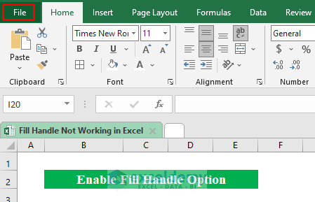 Enable Fill Handle Option