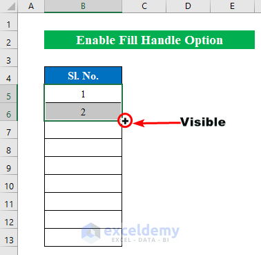 Enable Fill Handle Option