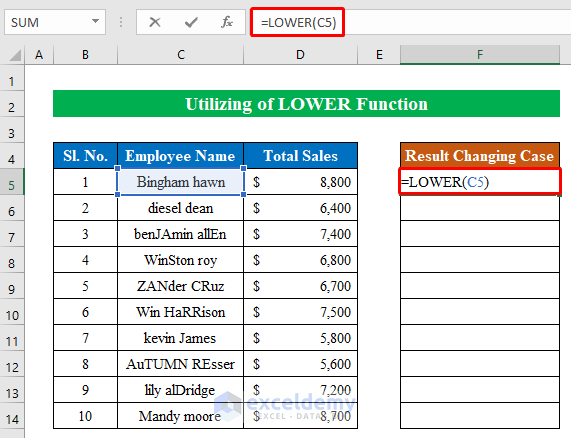 Utilize LOWER Function to Change Case in Excel Sheet