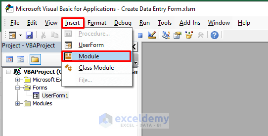 Inserting Module to Create a Data Entry Form in Excel VBA