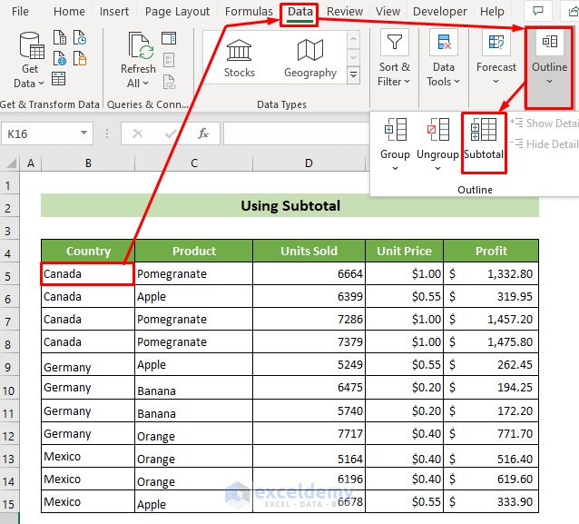 Access the Subtotal from the Data Tab