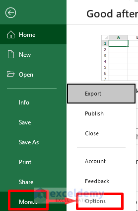 Access Excel Options