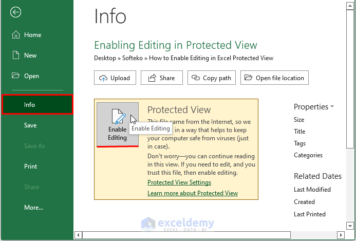 Info feature-Enable Editing in Excel Protected View
