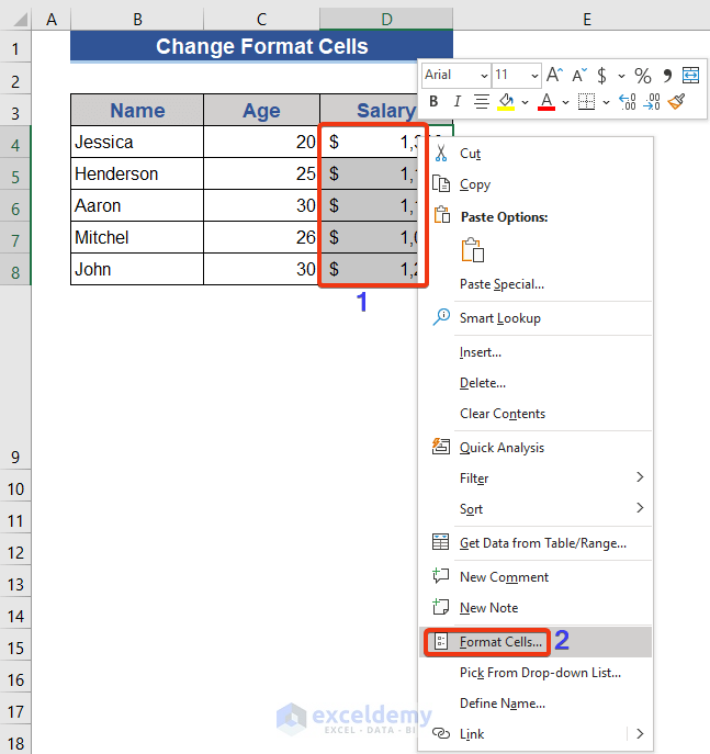 Format Cell Feature removes Sign in Excel