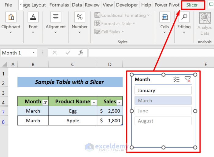 Steps to Resize a Slicer in Excel