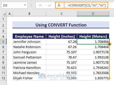 Using CONVERT Function to Convert Inches to Meters