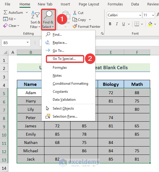 Applying Find & Select Feature to Treat All Blank Cells in Excel
