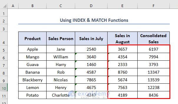 INDEX & MATCH functions
