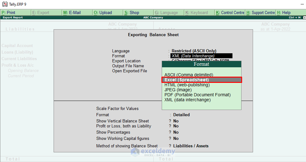 How to Export Tally Data in Excel