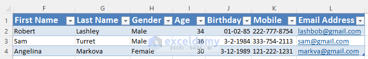 how to make a fillable form in excel