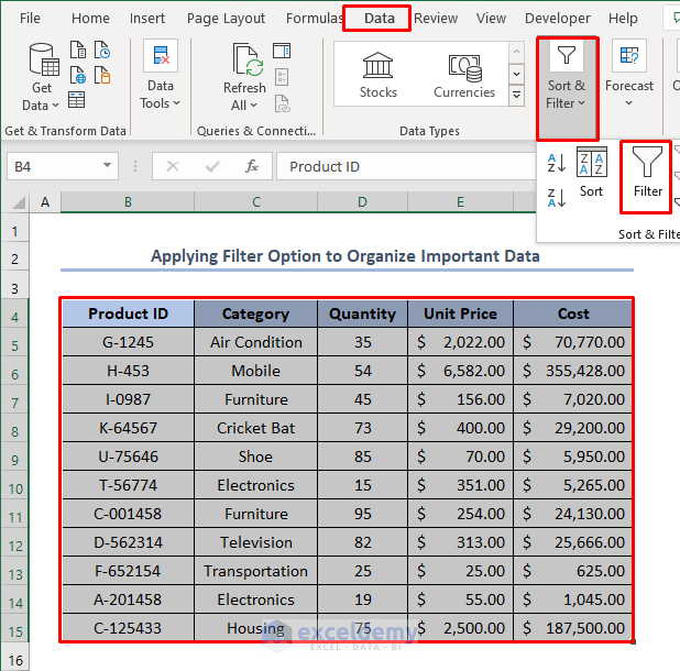 how to organize data in Excel for analysis using Filter