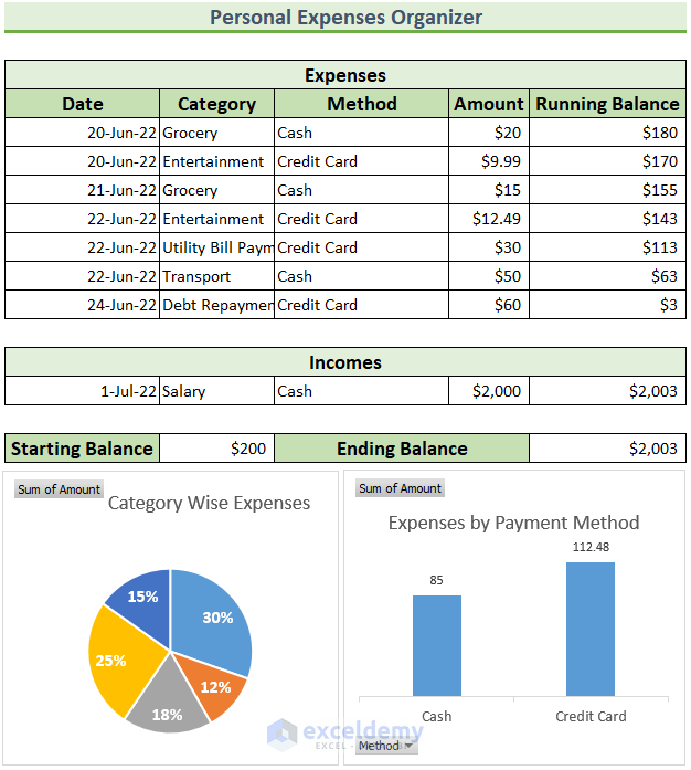 how to organize expenses in excel