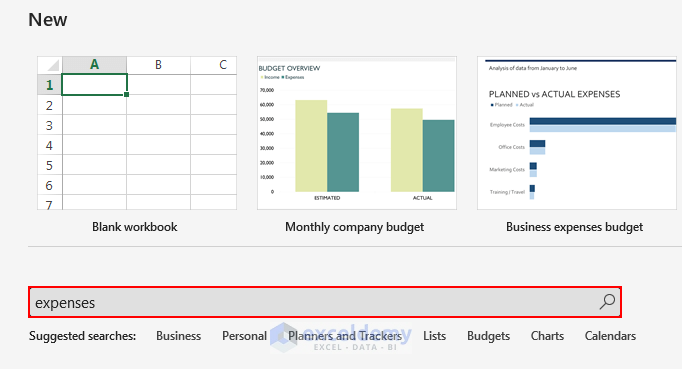 how to organize expenses in excel Online Template