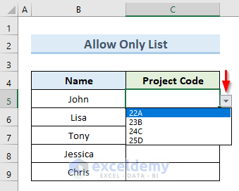 Restrict Data Entry to a List