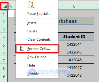 Protect Worksheet to Restrict Data Entry in Excel Cell