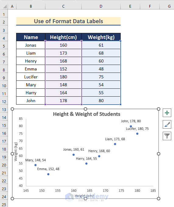 Use of Format Data Labels in Excel