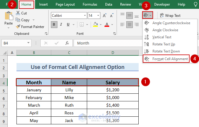 Difference Between Alignment and Orientation in Excel