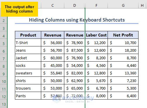 Hiding data in Excel column wise