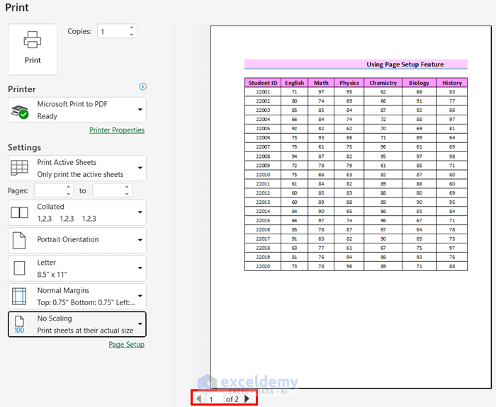 Using Page Setup Feature to Fit Excel Sheet on One Page PDF
