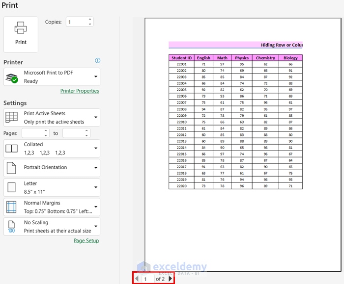 Hiding Row/ Column to Fit Excel Sheet on One Page PDF