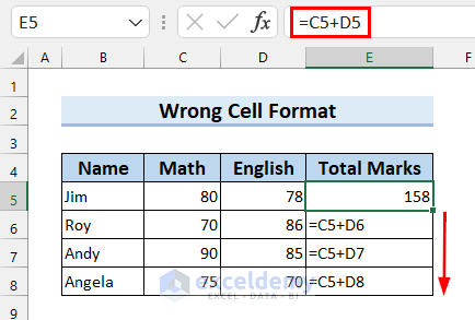 1. Check Cell Format 