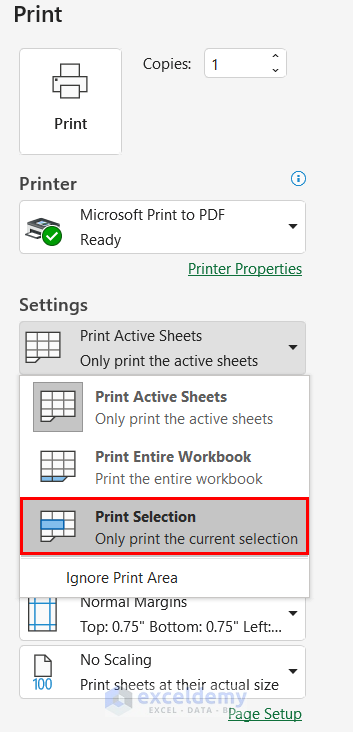 How to Fit Only Selected Data from an Excel Sheet on PDF