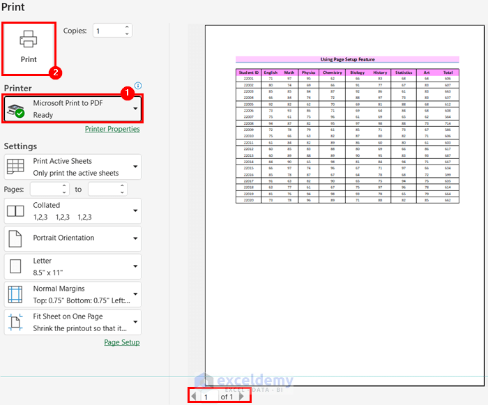 Using Page Setup Feature to Fit Excel Sheet on One Page PDF
