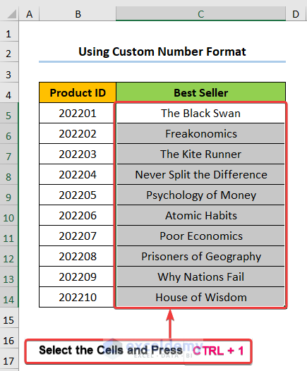 Using Custom Number Format