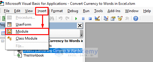 Insert a Module to Create a Function to Convert Currency to Words in Excel