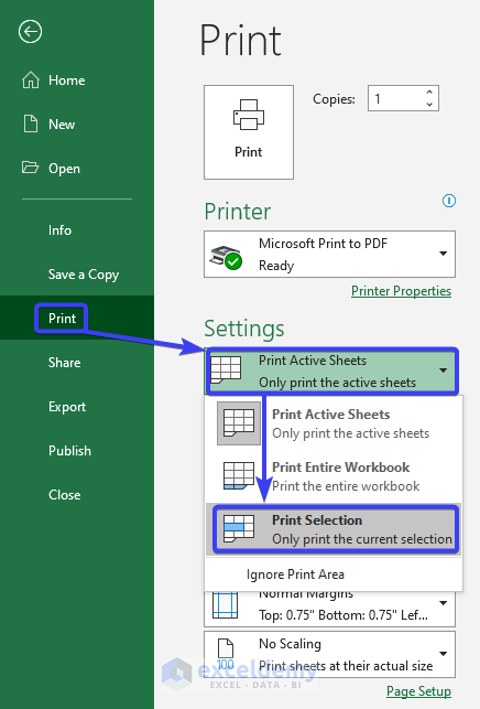 Delete Blank Pages Using File Tab in Excel