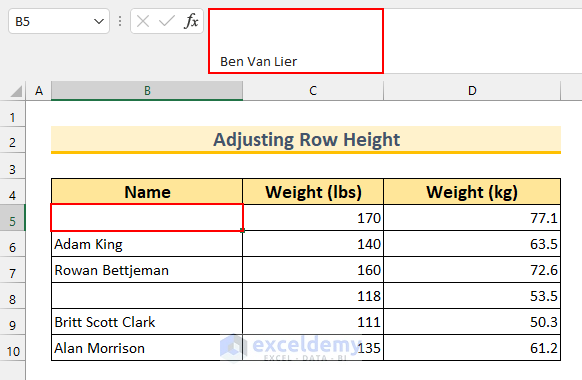 Excel Cell Contents Not Visible but Show in Formula Bar 9