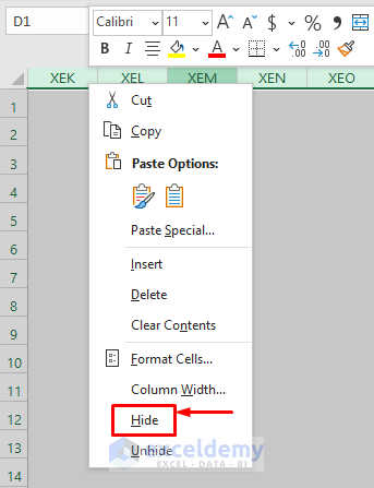 Choose the Hide Option to Hide Columns in Excel with No Data